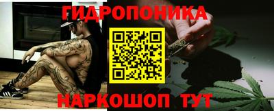 гидра Заволжье
