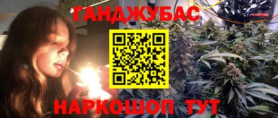крисы Ирбит