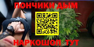 мдпв Заводоуковск
