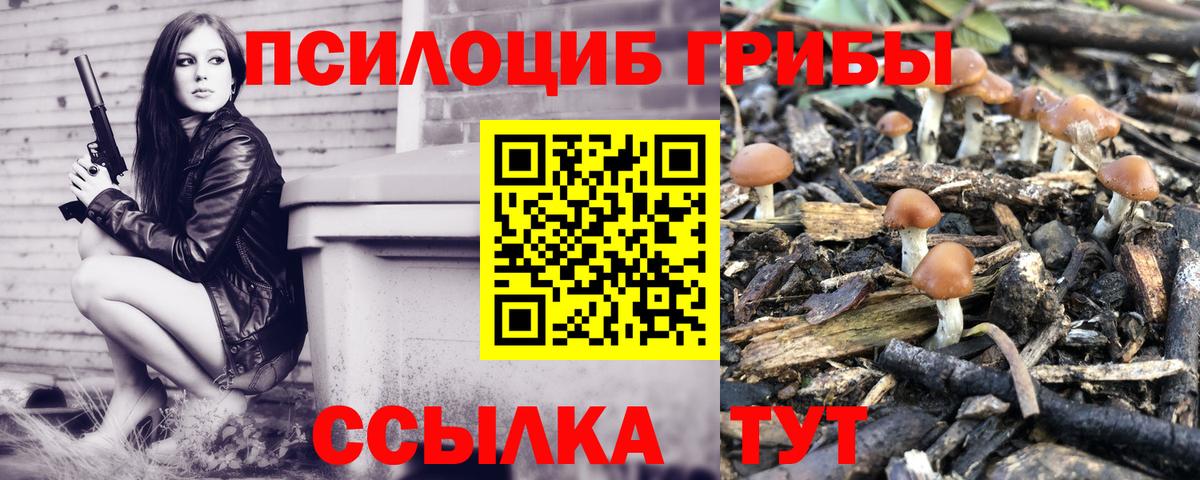 Барабинск  Псилоцибиновые грибы Psilocybine cubensis  Вход с VPN 